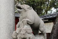 護王神社へ行ってきた! 京都「いのしし神社」で亥年のご利益を願う!