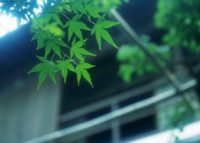 スマホが突然ネットに繋がらなくなった!