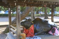 京都で合格祈願スポット5か所へ行ってきた! 最後は学問の神様へ神頼み
