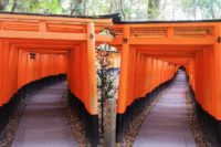 早朝の伏見稲荷へ出かけてきた!千本鳥居の撮影も思いのまま!