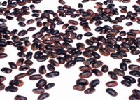 イラレでQRコードを入れる方法は?