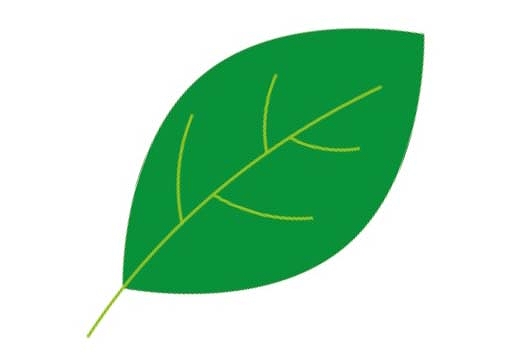 イラレで葉っぱを描く方法は ウェルの雑記ブログ