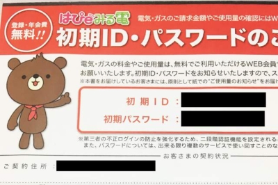 関西電力の なっとくパック で電気代とガス代をまとめて節約 ウェルの雑記ブログ