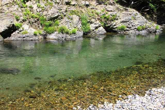 京都の川遊び 水遊びスポットヵ所へ行ってきた おすすめランキング ウェルの雑記ブログ