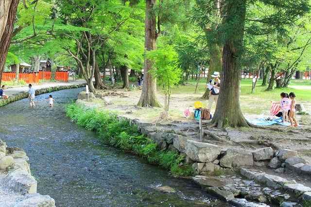 京都の川遊び 水遊びスポットヵ所へ行ってきた おすすめランキング ウェルの雑記ブログ