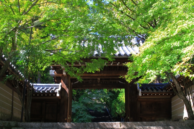 法輪寺