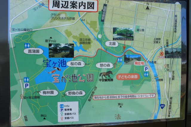 宝が池公園