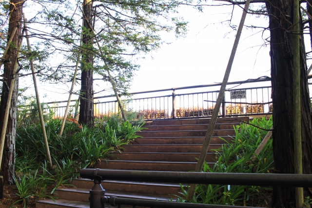 宇治市植物公園