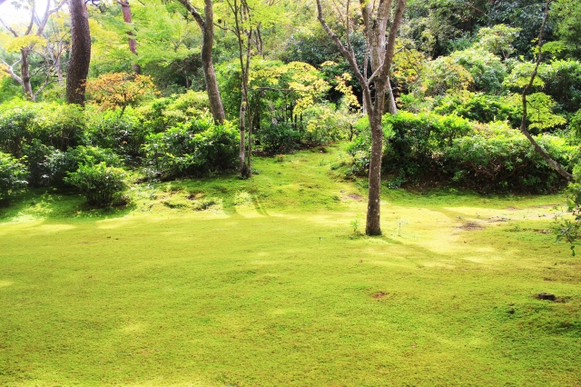大河内山荘