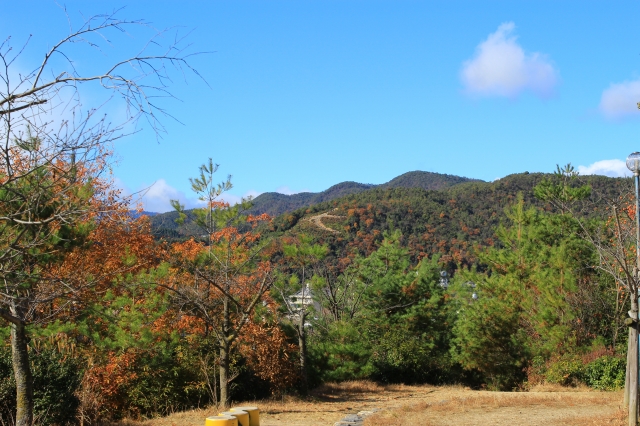 船岡山公園