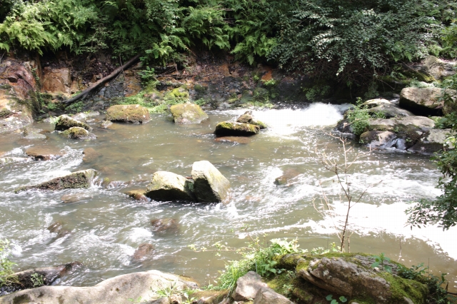 るり渓自然公園