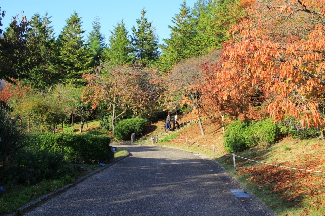 宇治市植物公園