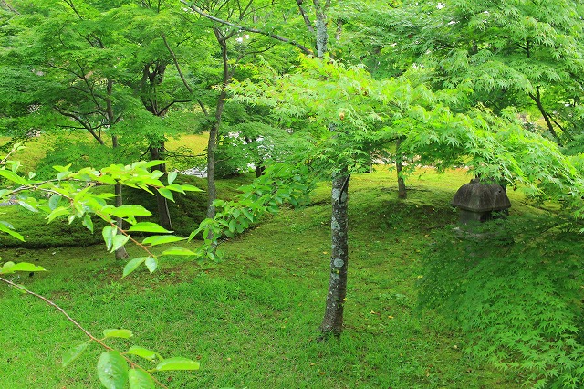青蓮院門跡と青龍殿の大舞台