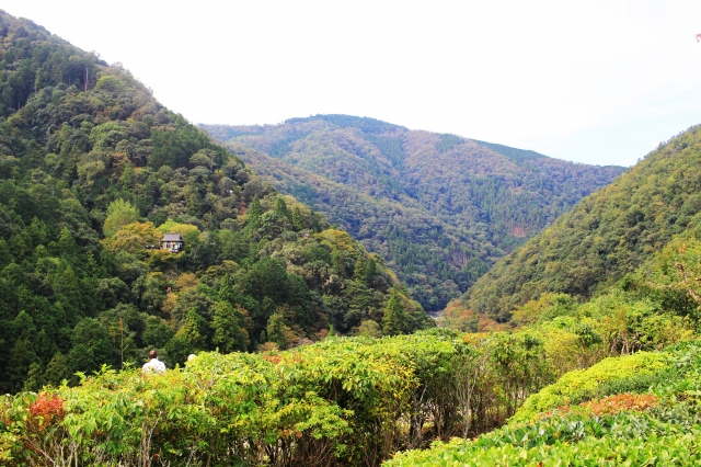 大河内山荘