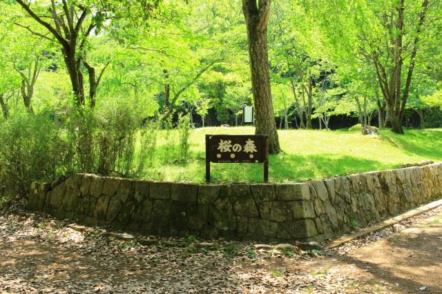 宝が池公園