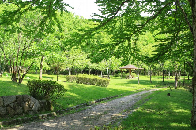 宝が池公園
