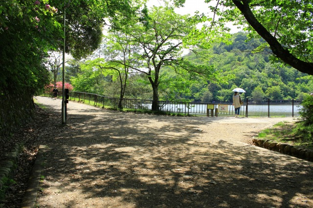宝が池公園