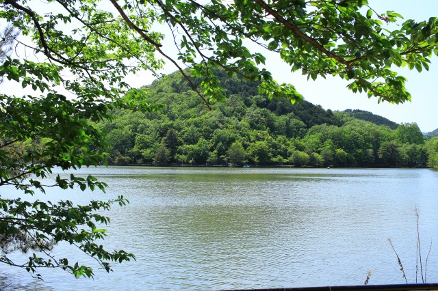 宝が池公園