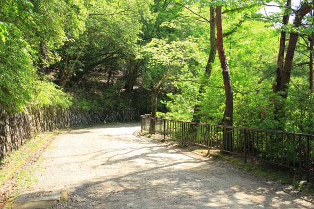 宝が池公園