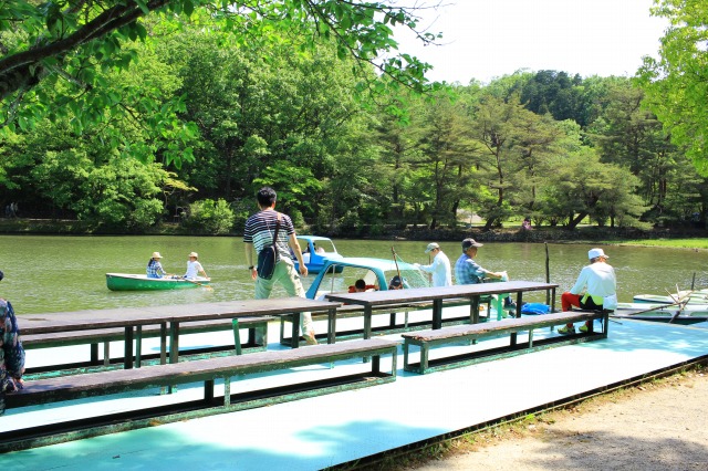 宝が池公園
