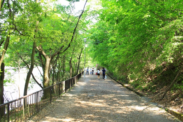 宝が池公園