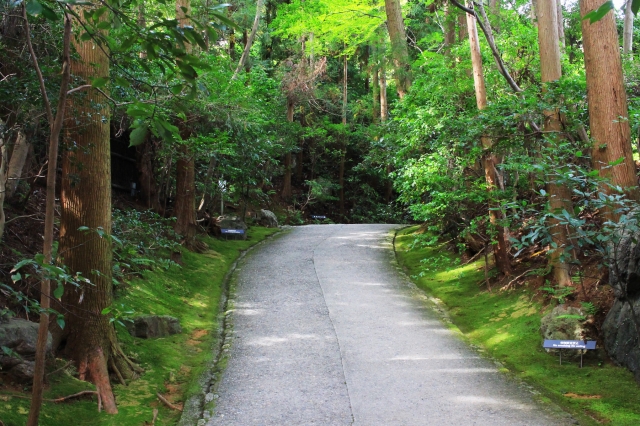 大河内山荘