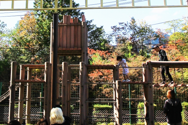 嵐山高雄パークウェイ