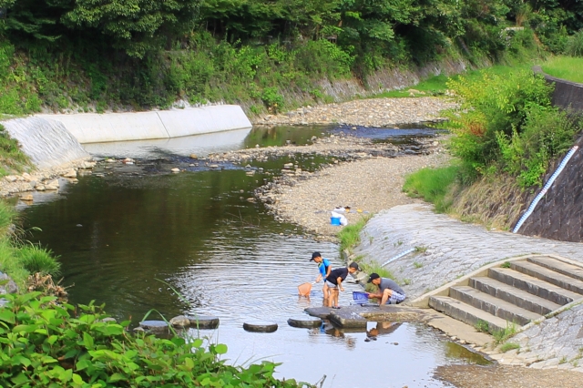 宝が池公園