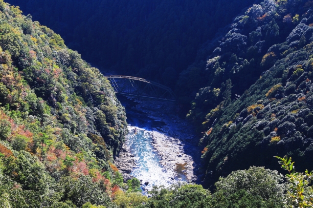 嵐山高雄パークウェイ