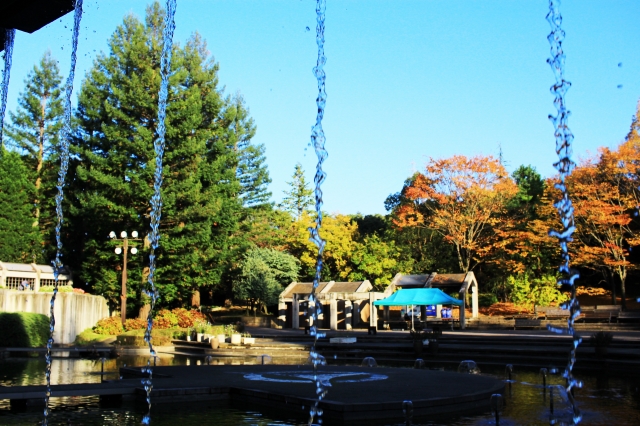宇治市植物公園