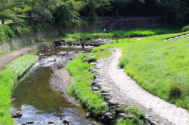 宝が池公園