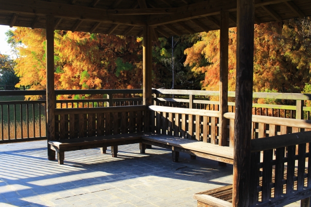 宇治市植物公園