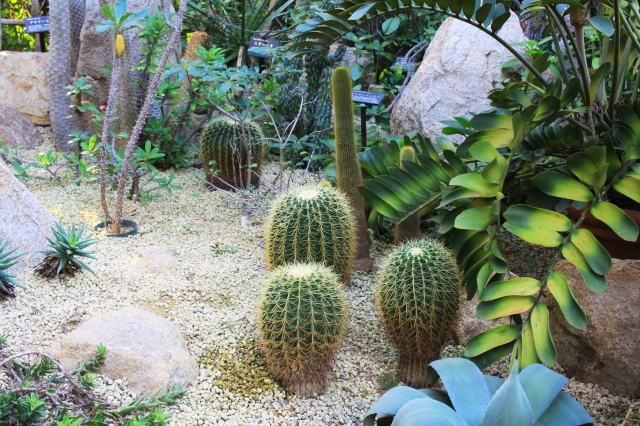 宇治市植物公園