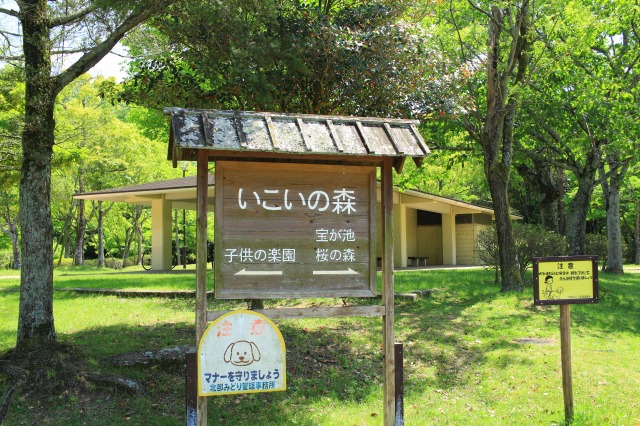 宝が池公園