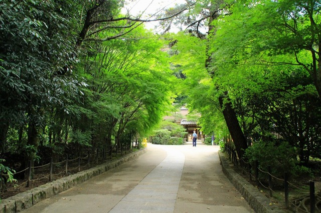 宇治上神社