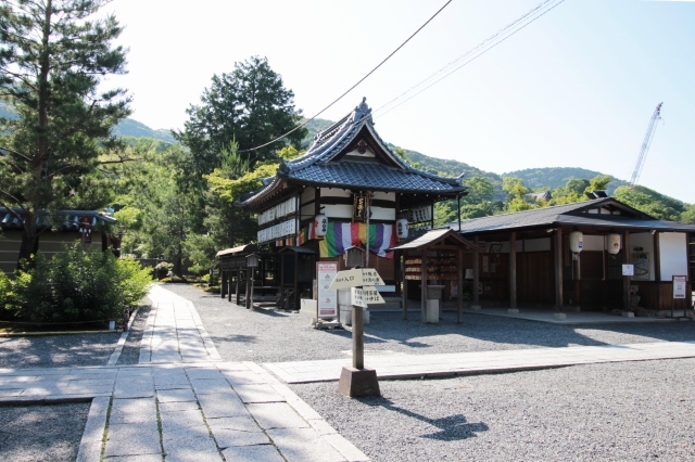 ねねの道