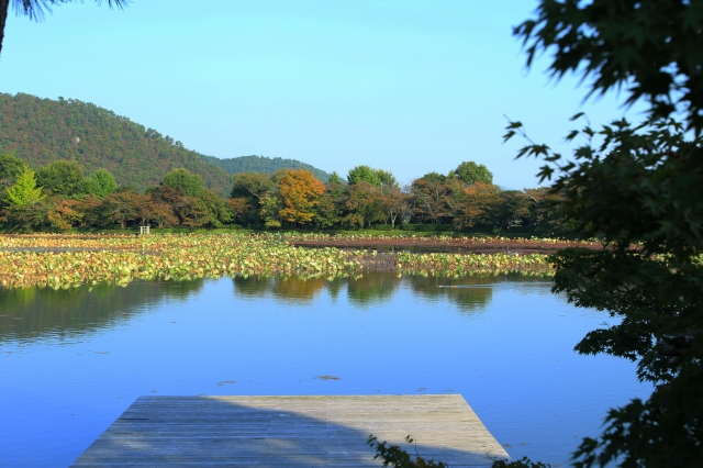 大覚寺