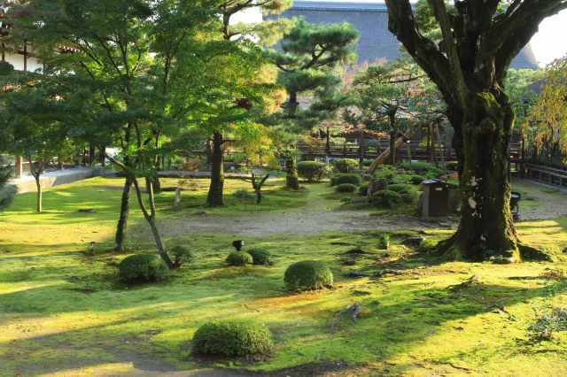 大覚寺