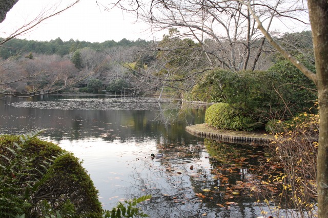 龍安寺