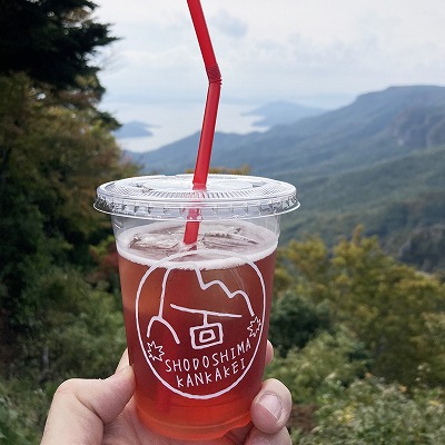 無料シャトルバスとロープウェイで寒霞渓へ