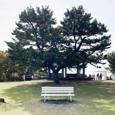 無料シャトルバスとロープウェイで寒霞渓へ