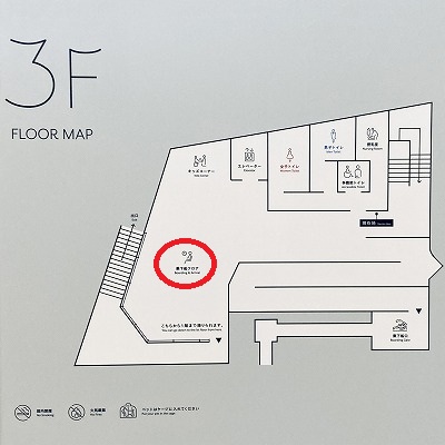 坂手港さかてらす