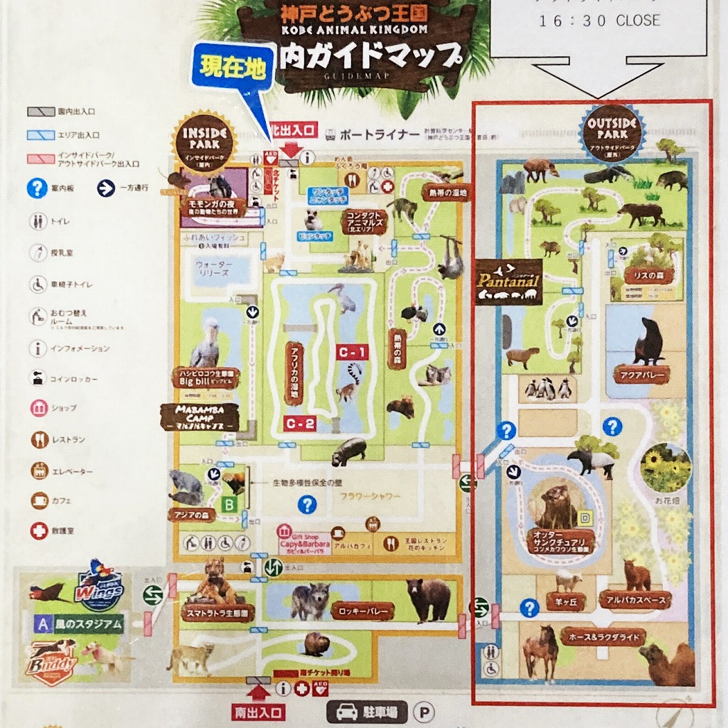 神戸どうぶつ王国