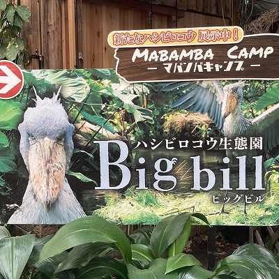 神戸どうぶつ王国