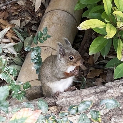 神戸どうぶつ王国