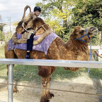 神戸どうぶつ王国