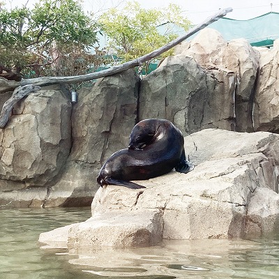 神戸どうぶつ王国