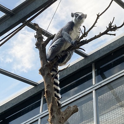 神戸どうぶつ王国