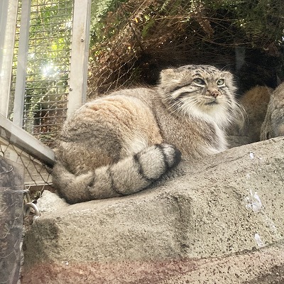 神戸どうぶつ王国