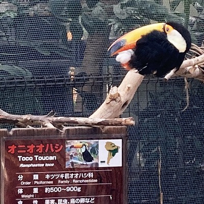 神戸どうぶつ王国